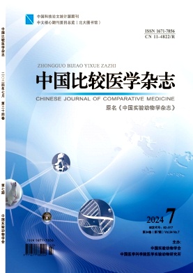 中国比较医学杂志封面
